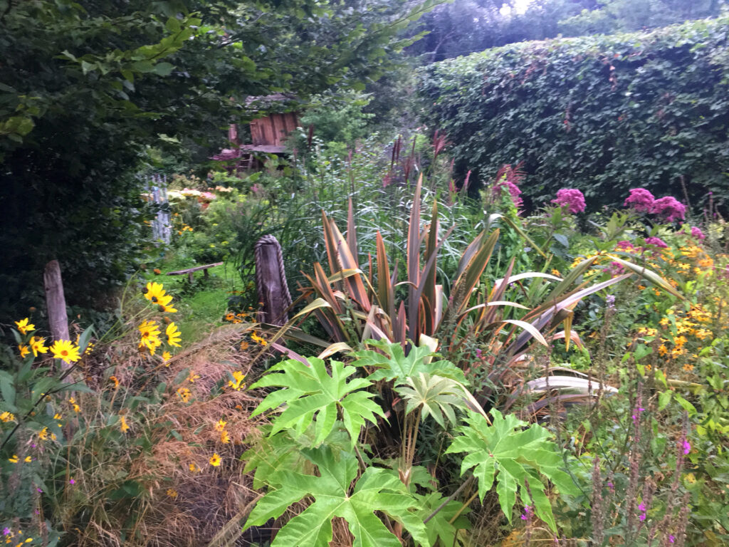 Garden Design | Green Earth Landscape